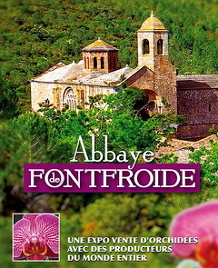 240-Orchidees-a-l-abbaye-de-Fontfroide_focus_events