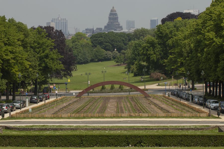 garden-no-cars-900x601