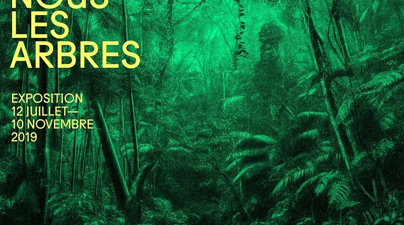 exposition Nous les arbres Fondation Cartier Paris 2019