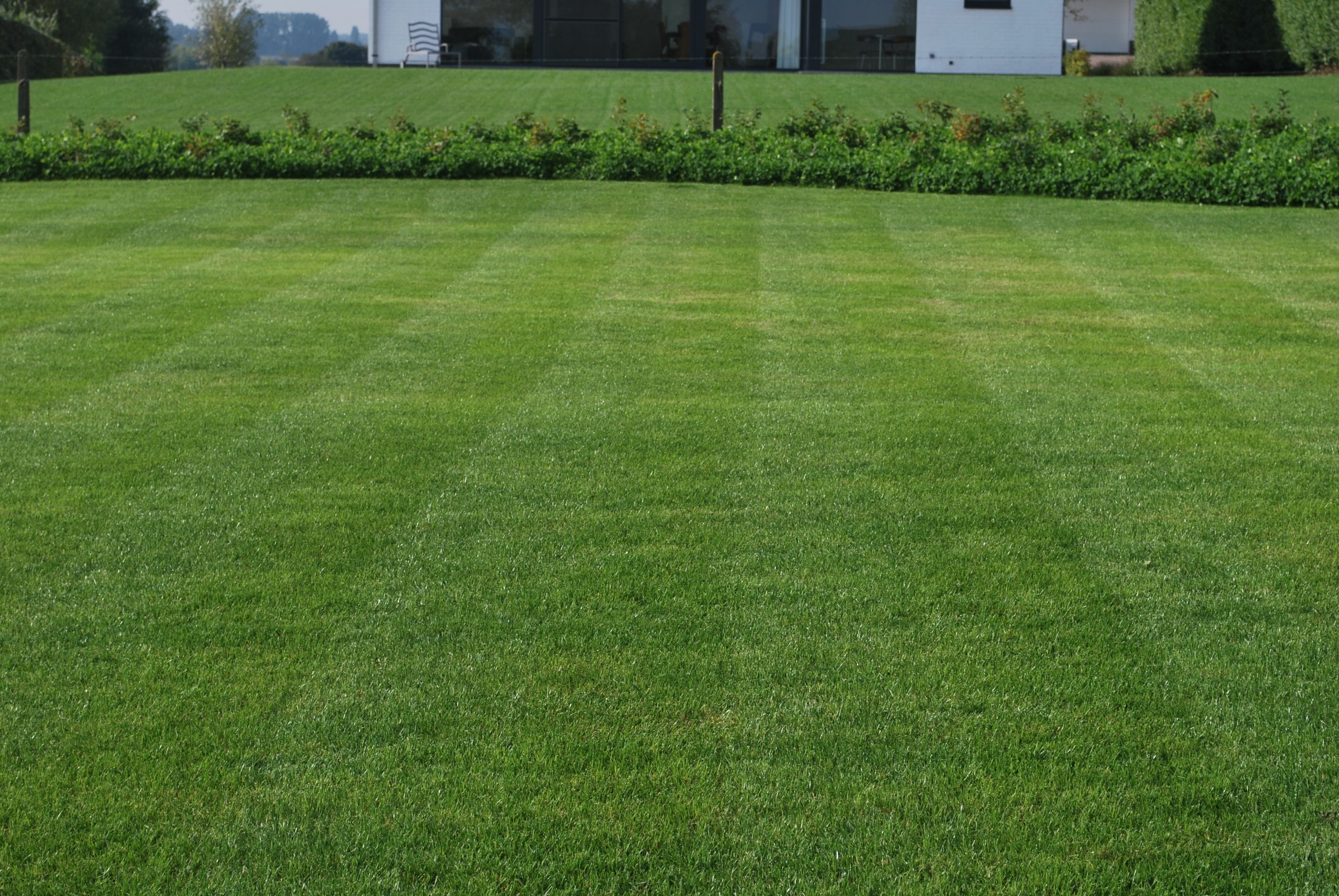 Advanta gazon graminées résistant aux rigueurs climatiques semences de graminées jardin jardinage plantation astuces trucs climat CG Concept Annuaire 2020