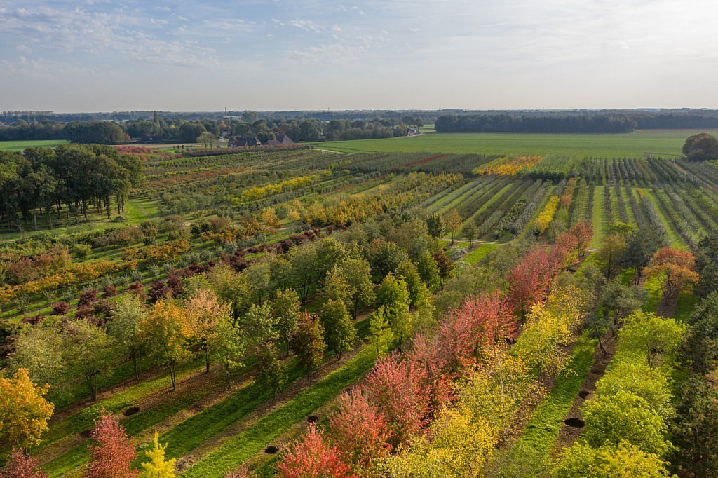 Pépinière Ebben climat environnement TreeEbb encyclopédie jardinage changement climatique arbres zone urbaine CG Concept Annuaire 2020