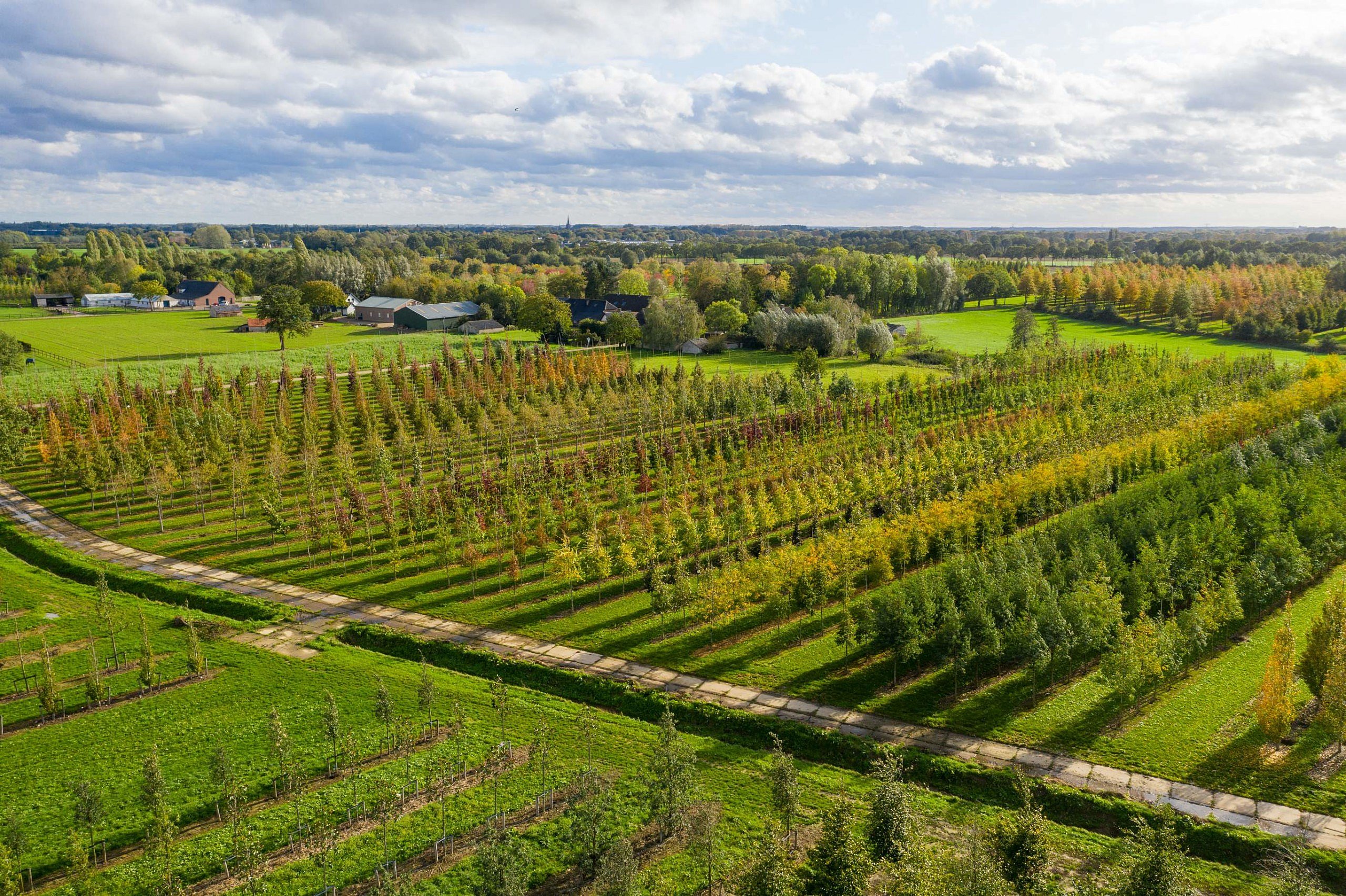 Pépinière Ebben climat environnement TreeEbb encyclopédie jardinage changement climatique arbres zone urbaine CG Concept Annuaire 2020