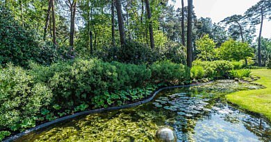 Bart De Backer BaLu LOBU architecte paysagiste CG Concept Annuaire 2020 symbiose plantes la vie du sol espaces verts futur évolution organismes microfaune microflore climat problème réchauffement du climat changement climatique parasites entrepreneurs de jardinage jardins plantation arbres