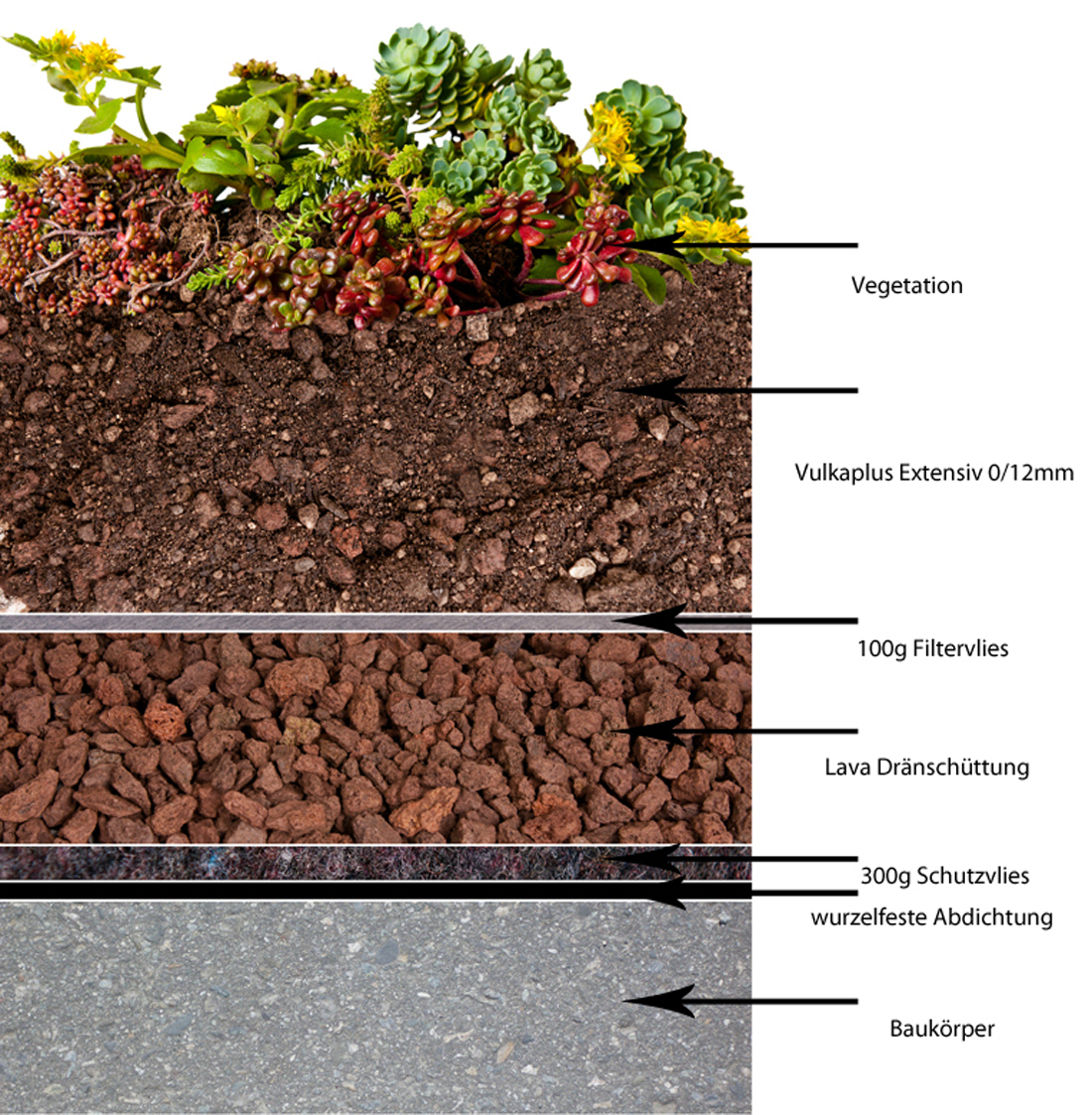 Toitures à rétention Toitures végétalisées Disaghor CG Concept Annuaire 2020 futur secteur vert jardins professionnels architecture de jardin espaces verts technique infos matériaux ville conditions climatique jardin climatique systèmes agriculture urbaine