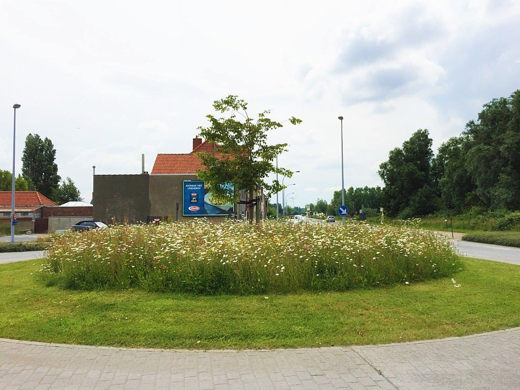 BT Bloementapijten tapis de fleurs  prêts à poser fleuris sauvages biodiversité climat jardin CG Concept Annuaire 2020