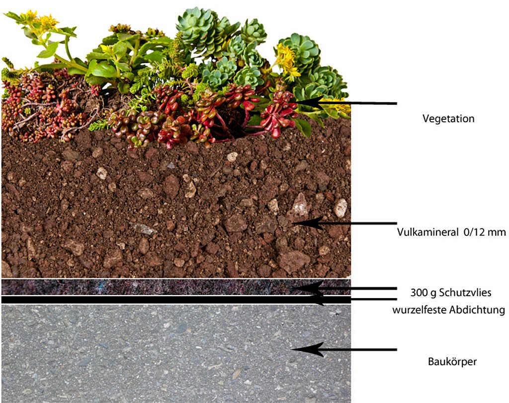 Toitures à rétention Toitures végétalisées Disaghor CG Concept Annuaire 2020 futur secteur vert jardins professionnels architecture de jardin espaces verts technique infos matériaux ville conditions climatique jardin climatique systèmes agriculture urbaine