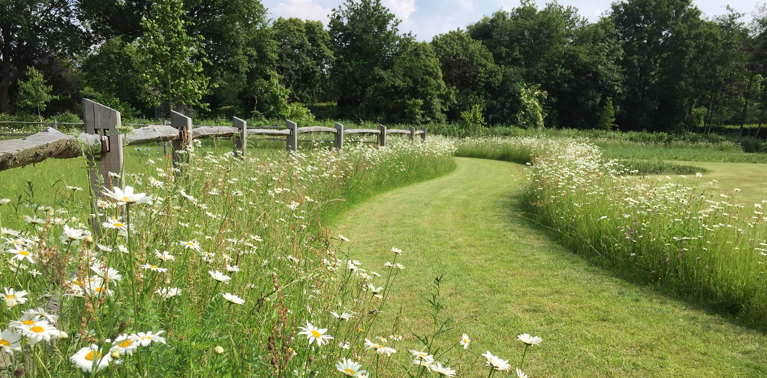 BT Bloementapijten tapis de fleurs prêts à poser fleuris sauvages biodiversité climat jardin CG Concept Annuaire 2020