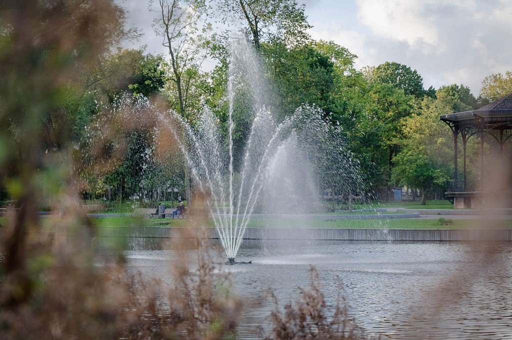 l'algue bleue cyanobactérie piscine étangs de baignade rivière plans d'eau décoratif CG Concept Annuaire 2020