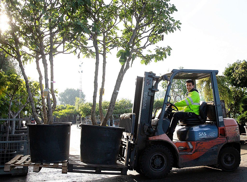 Pépinière Willaert plantes secteur espaces verts Els Willaert entreprise familiale jardin tendances cash & carry aménagement jardinerie durabilité CG Concept Annuaire 2020