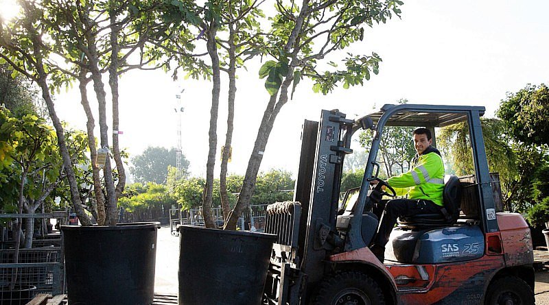 Pépinière Willaert plantes secteur espaces verts Els Willaert entreprise familiale jardin tendances cash & carry aménagement jardinerie durabilité CG Concept Annuaire 2020