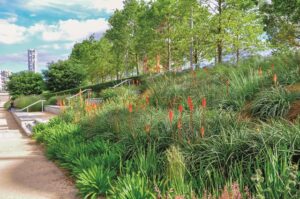CG Concept Natuurlijke tuinen_nigel dunnett piet oudolf concepts créations plantations naturaliste architecture paysagistes jardins vert