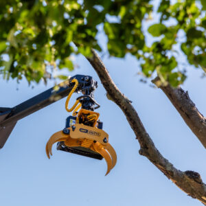 GMT Equipment nouveau nouveautés grappin scie Total tree control ttc noveau produit machines contrôle total des arbres blocage de l'inclinaison système unique troncs d'arbres abattage mécanique technique matériaux secteur vert architecture magazine professionel cg concept