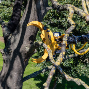 GMT Equipment nouveau nouveautés grappin scie Total tree control ttc noveau produit machines contrôle total des arbres blocage de l'inclinaison système unique troncs d'arbres abattage mécanique technique matériaux secteur vert architecture magazine professionel cg concept