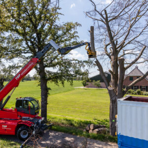 GMT Equipment nouveau nouveautés grappin scie Total tree control ttc noveau produit machines contrôle total des arbres blocage de l'inclinaison système unique troncs d'arbres abattage mécanique technique matériaux secteur vert architecture magazine professionel cg concept