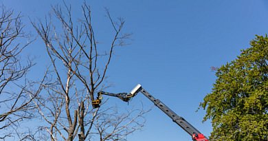 GMT Equipment nouveau nouveautés grappin scie Total tree control ttc noveau produit machines contrôle total des arbres blocage de l'inclinaison système unique troncs d'arbres abattage mécanique technique matériaux secteur vert architecture magazine professionel cg concept