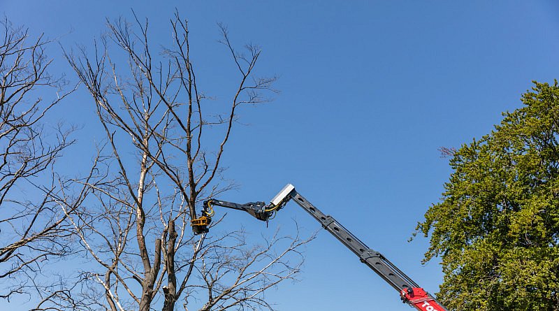 GMT Equipment nouveau nouveautés grappin scie Total tree control ttc noveau produit machines contrôle total des arbres blocage de l'inclinaison système unique troncs d'arbres abattage mécanique technique matériaux secteur vert architecture magazine professionel cg concept