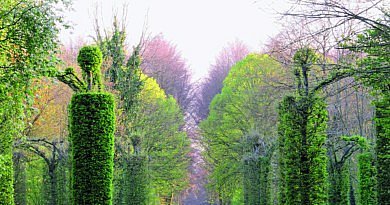 La belgique des jardins livre sur les plus beaux jardins de la Belgique historique et contemporains inspiration visiter jardins de rêve livre-cadeau amateurs de jardins magazine cg concept magazine revue professionel pour le secteur vert espaces vertes jardinage jardiner jardinier fleurs plantes