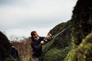 CG Concept est une revue spécialisée pour le secteur vert en Belgique. Pour l'annuaire 2021, nous avons eu un entretien avec la pépinière Solitair, connue pour ses plantes de caractère.