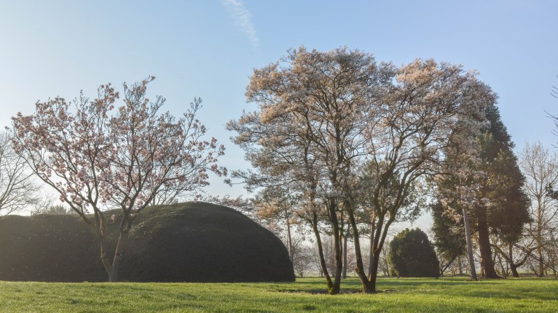 CG Concept est une revue spécialisée pour le secteur vert en Belgique. Pour l'annuaire 2021, nous avons eu un entretien avec la pépinière Solitair, connue pour ses plantes de caractère.