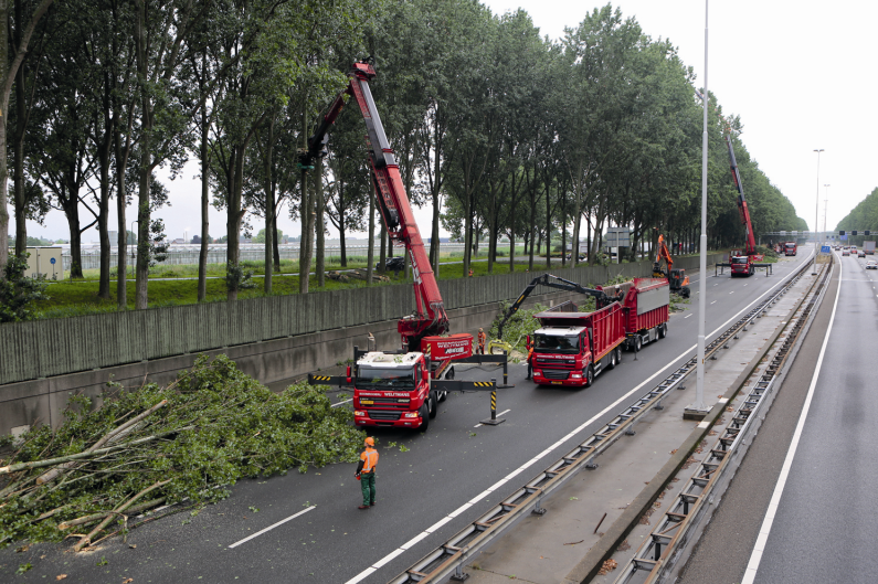 À lire dans le CG Annuaire 2021 : Boomrooierij Weijtmans, LE spécialiste de l'abattage et du démontage d'arbres.