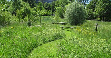 CG CONCEPT magazine: Place à la pelouse dans les espaces verts publics