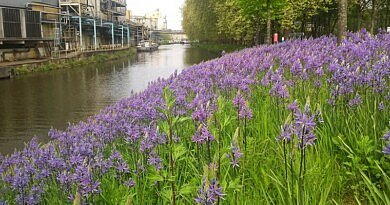 CG CONCEPT XTRA : Biodiversité et climat ne peuvent être traités séparément !