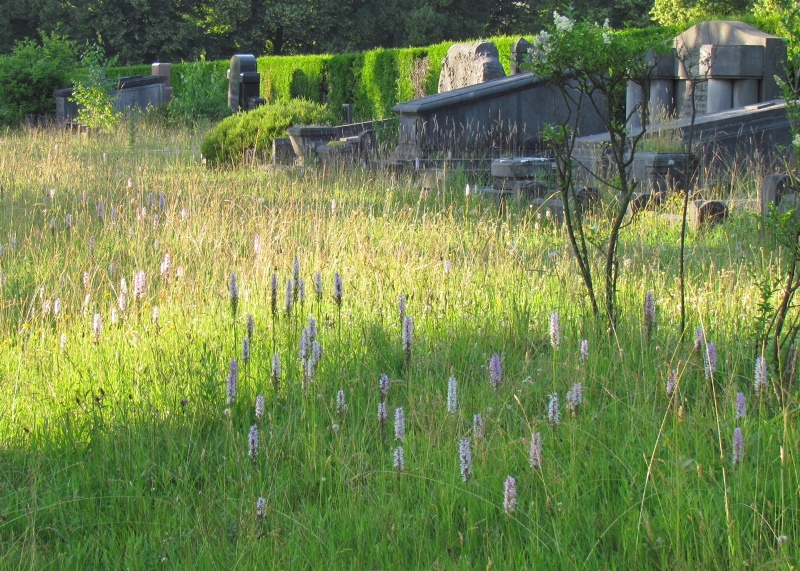 CG CONCEPT XTRA : Biodiversité et climat ne peuvent être traités séparément !