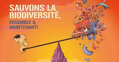 CG Concept : Sauver la biodiversité