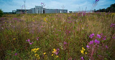 CG Concept: Plus de biodiversité sur les terrains de nos entreprises