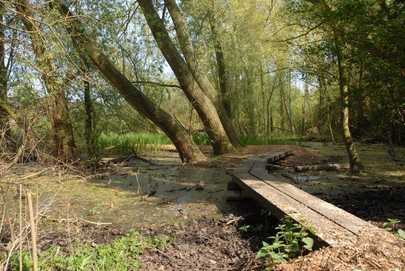 CG CONCEPT XTRA : Biodiversité et climat ne peuvent être traités séparément !