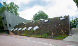 CG Concept : Bâtiment vert pour les gardiens de parcs et les jardiniers à Bruxelles