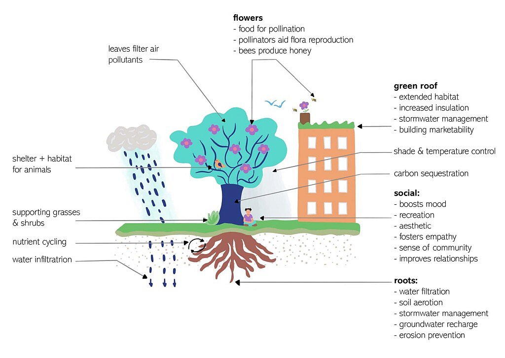 Projet H2020 Clearing House : l’adaptation aux changements climatiques via les solutions fondées sur la nature (nature-based solutions).