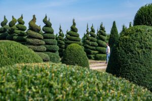 Pépinières Mentens - 105 ha de cultures de plein air gérées avec passion, jour après jour!