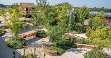 Les Pépinières Ebben dévoile un jardin de toiture rénové