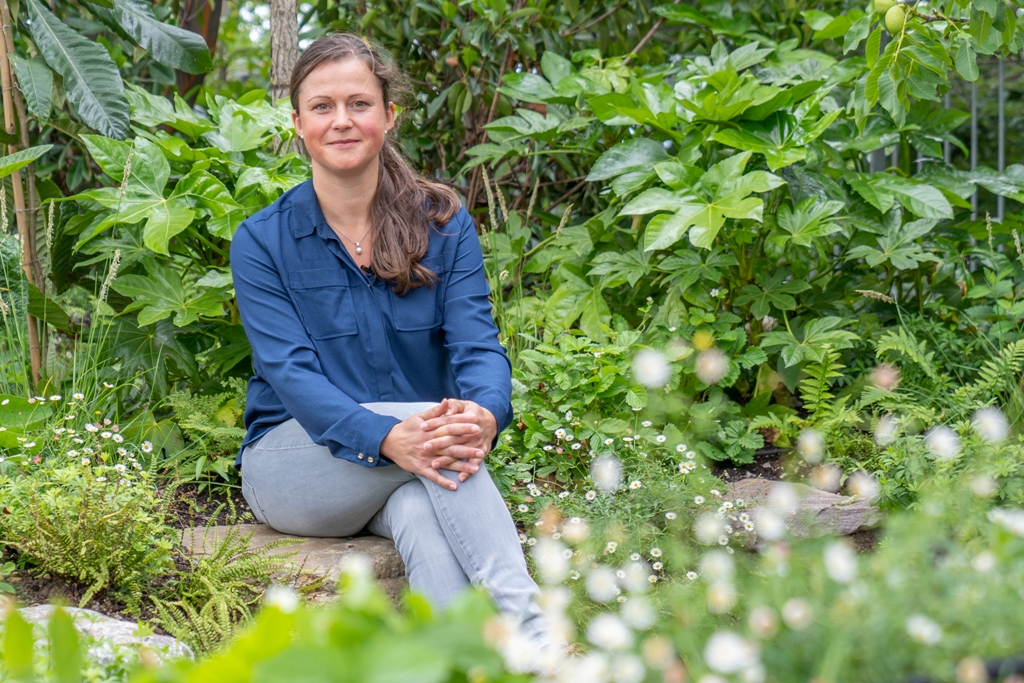 Les Pépinières Ebben dévoile un jardin de toiture rénové