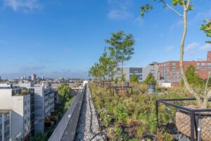 Alors que naguère le toit du complexe d’appartements n’était qu’un îlot de chaleur fait de bitume et de graviers, c’est désormais un toit vert de plus de 16 mètres de haut, avec une grande variété de plantes et d’arbres qui resplendit ici.