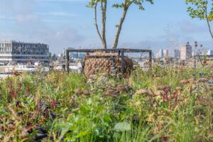 Utiliser les précieux espaces inexploités pour une ville adaptée au climat.