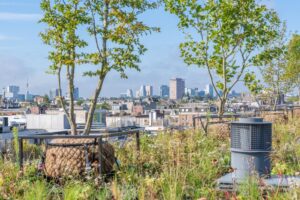 l’arbre baptisé «Urban Tree» est non seulement de moindre poids, mais il a aussi des racines qui se développent dans une motte spécialement préparée avec un substrat léger plutôt qu’en pleine terre. Il ne pèse qu’une fraction de son poids normal et permet ainsi de verduriser des endroits où la nature ne pourrait autrement prospérer.