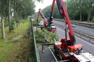 Boomrooierij Weijtmans : L'abattage et le démontage d'arbres