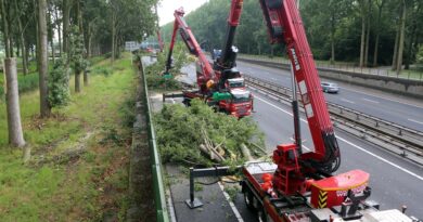 Boomrooierij Weijtmans : L'abattage et le démontage d'arbres