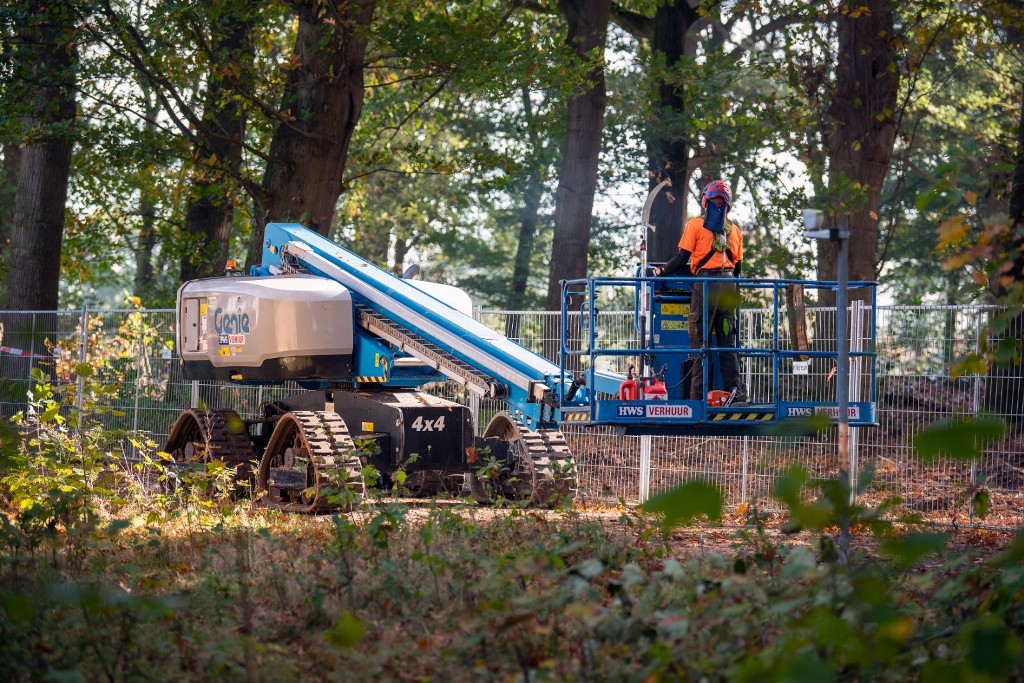 Boomrooierij Weijtmans : L'abattage et le démontage d'arbres