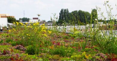 Rooftop Revolution mise sur les toits verts multifonctionnels et biodiversifiés