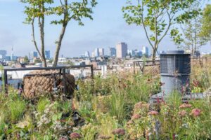 Rooftop Revolution mise sur les toits verts multifonctionnels et biodiversifiés