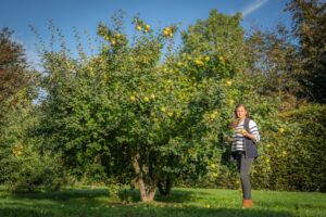 Pépinière Ebben : Le succès grandissant de l'arbre fruitier