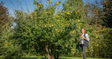 Pépinière Ebben : Le succès grandissant de l'arbre fruitier