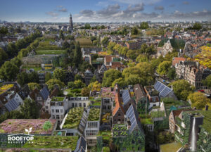 Rooftop Revolution mise sur les toits verts multifonctionnels et biodiversifiés