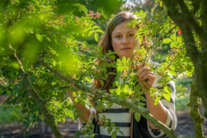 Pépinière Ebben : Le succès grandissant de l'arbre fruitier