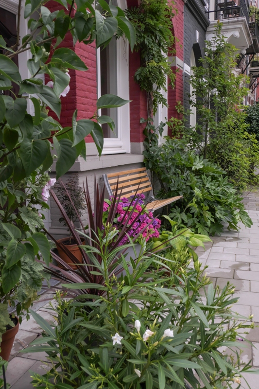 Jardin de façade : vert, convivial et résistant au climat