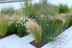 Ce jardin a remporté le Grand Prix du Jury lors du CONCOURS DE L’ENTREPRENEUR DE JARDINS DE WALLONIE 2022.