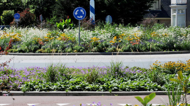 Avec les plantes vivaces, les espaces publics se végétalisent